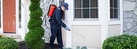 pest conrtol services